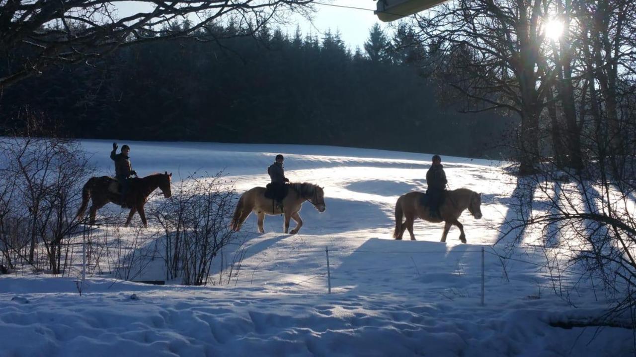 Ferienhof Gerda Sankt Georgen im Schwarzwald Zewnętrze zdjęcie