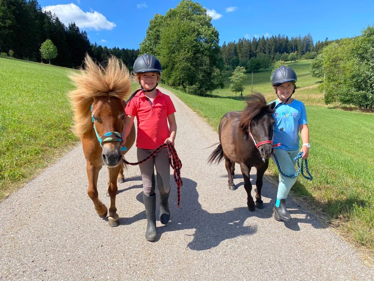 Ferienhof Gerda Sankt Georgen im Schwarzwald Zewnętrze zdjęcie