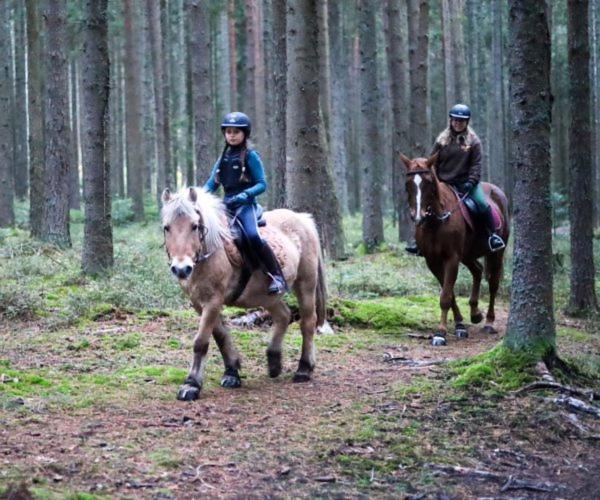 Ferienhof Gerda Sankt Georgen im Schwarzwald Zewnętrze zdjęcie