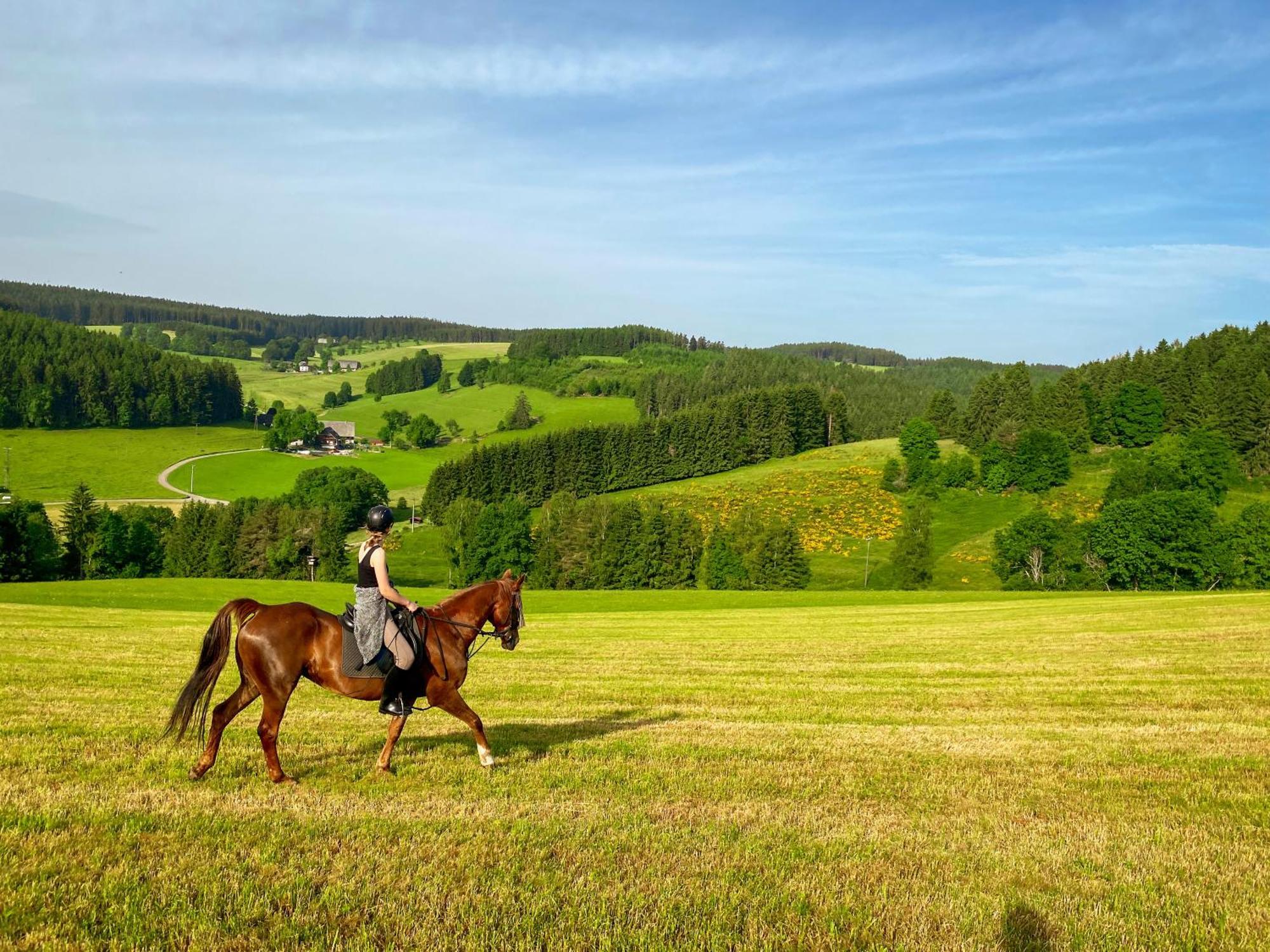 Ferienhof Gerda Sankt Georgen im Schwarzwald Zewnętrze zdjęcie